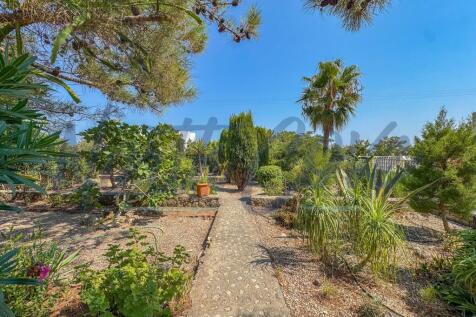 Property Image 39
