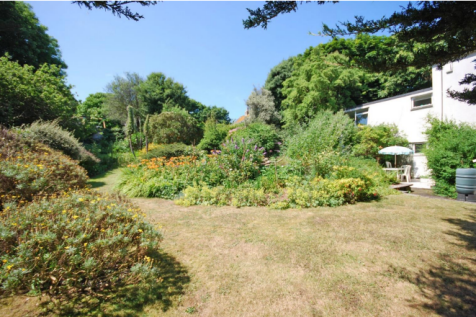 Current Garden view