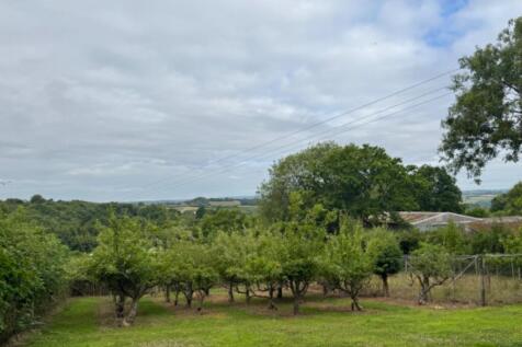 Orchard