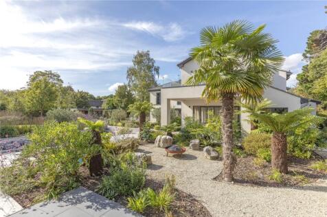 Landscaped Garden