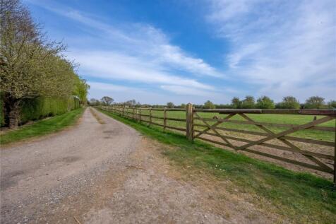 Drive and Paddocks
