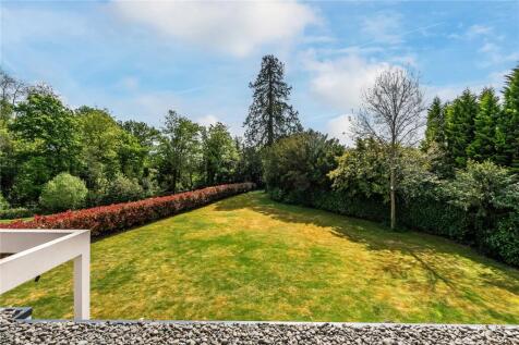 Back Garden
