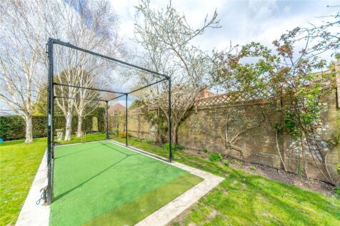 Cricket Net