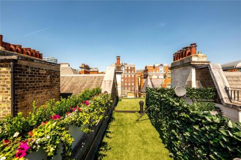 Roof Terrace