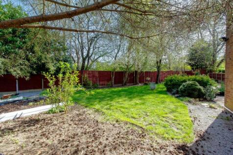Side Garden