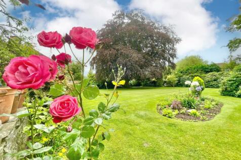 Garden 2.jpg