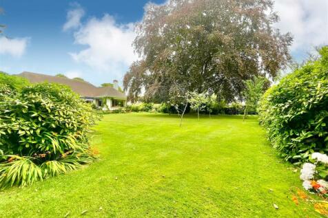 Garden 5.jpg