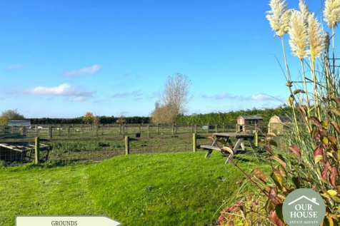 PADDOCKS AND ANIMAL HOUSING