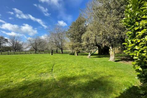 Hall Grounds