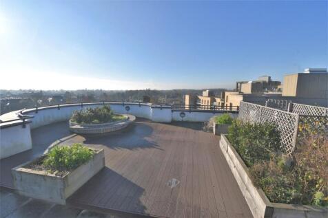 Communal Roof Garden
