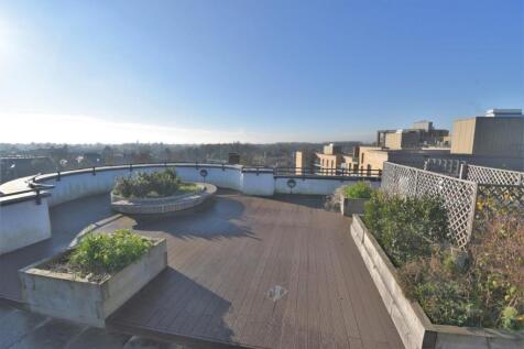Communal Roof Garden