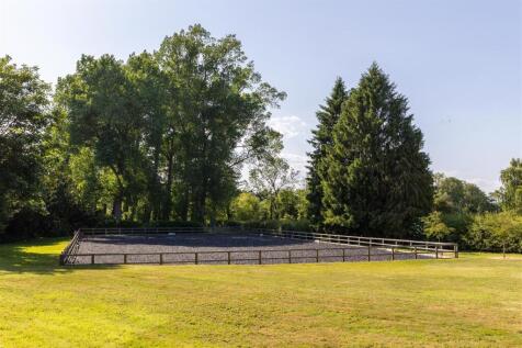 Arena