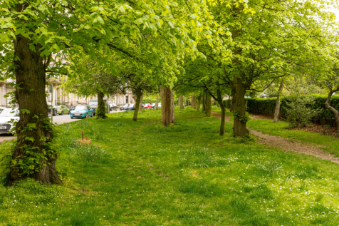 Clarendon Cres