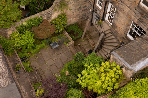 Aerial garden image