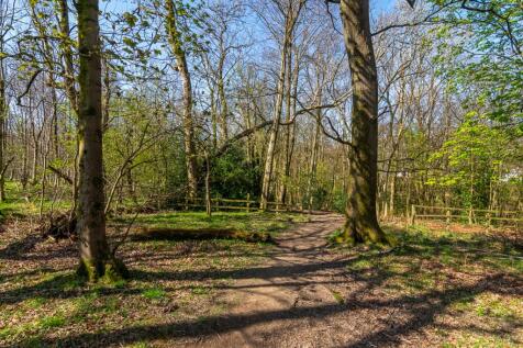 Surrounding woodlands
