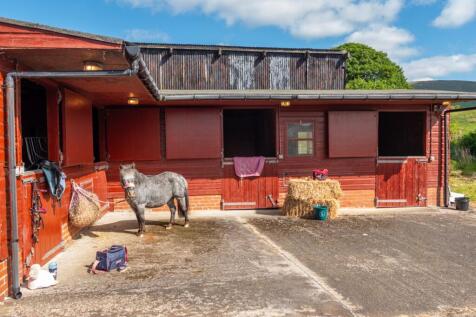 Stables