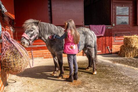 Equestrian facilities
