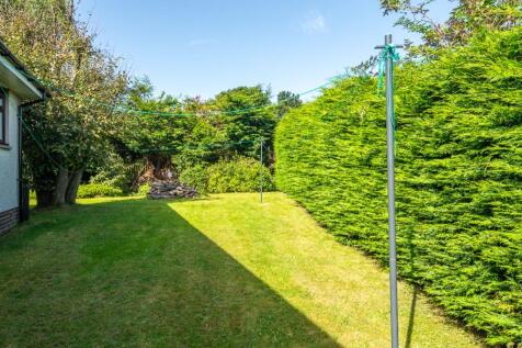 Side garden