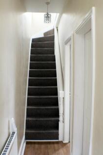 IMG_6667_ed