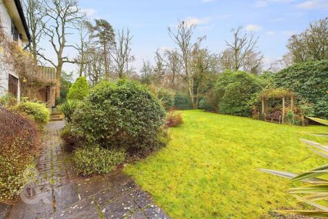 Property Image 39