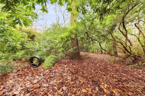Property Image 40