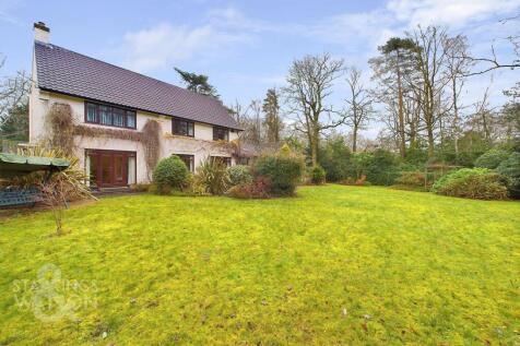 Property Image 43