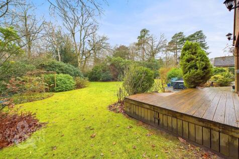 Property Image 44