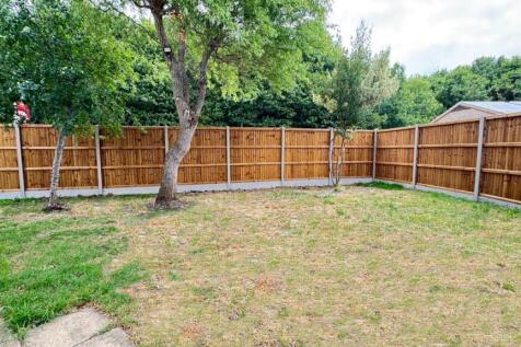 garden1.jpg