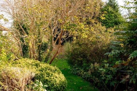 Property Image 45