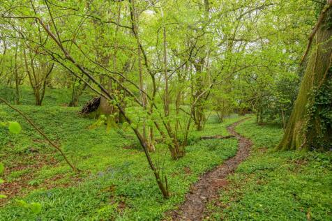 Property Image 38