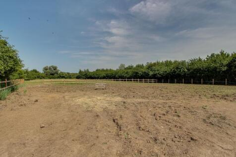 Paddock Three