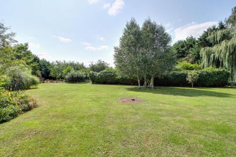 Orchard &amp; Open Grassed Area