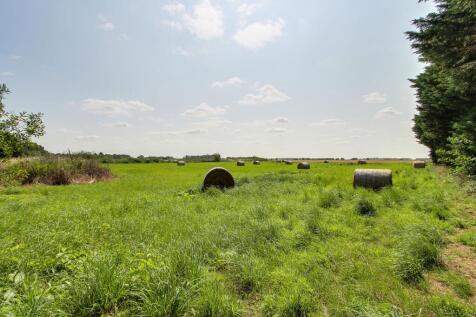 Field