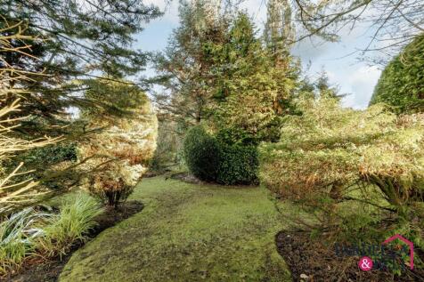 Property Image 57