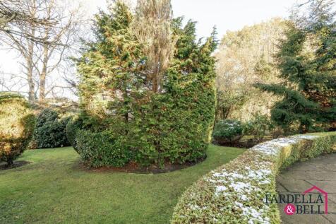 Property Image 59