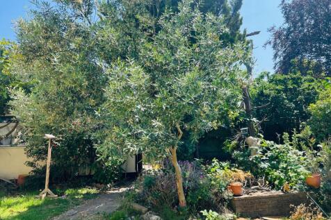 Garden .jpeg