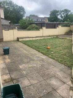 New garden