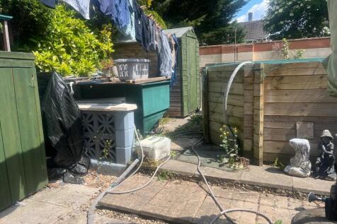 Garden .jpeg