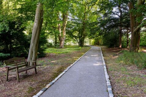 Woodland