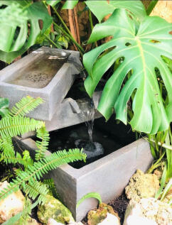 Image 14