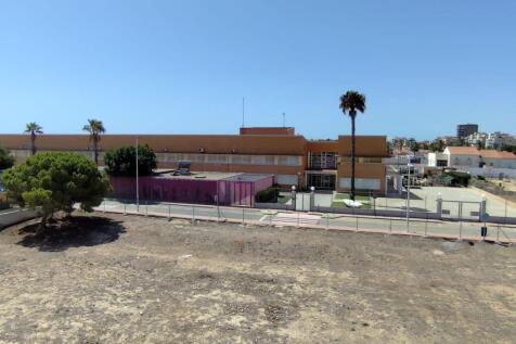 Image 36