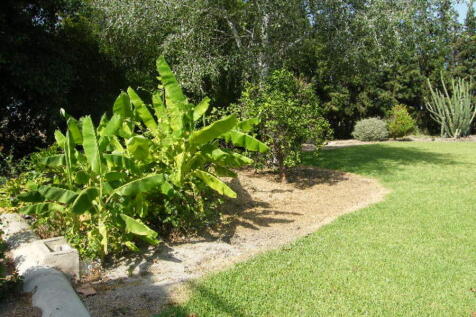 Image 38