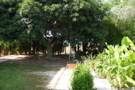 Image 39