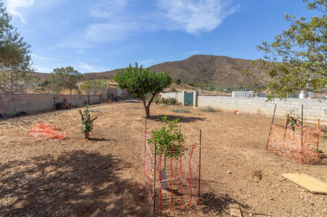 Image 36