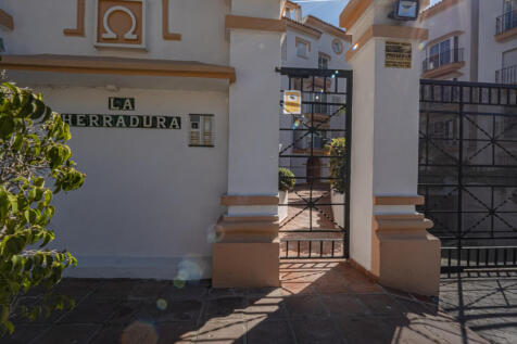 Image 31