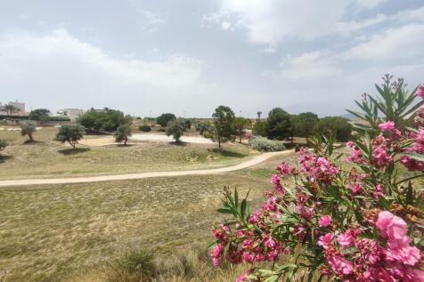 Image 38