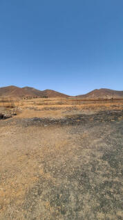 Image 38