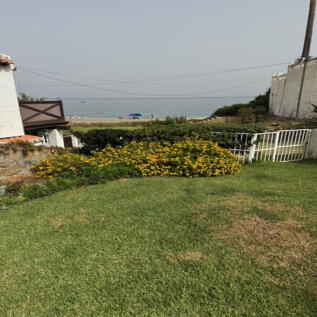 Image 16