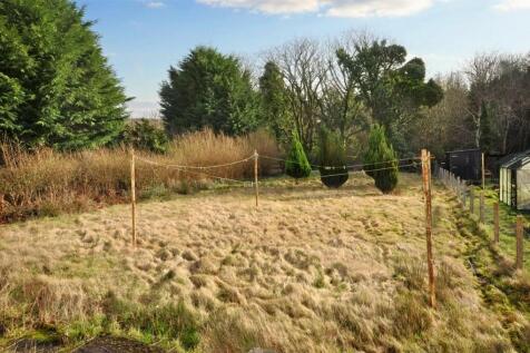Back Garden