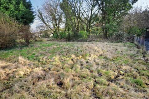 Back Garden